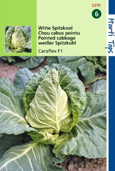 Witte spitskool Caraflex F1 (Brassica) 100 zaden